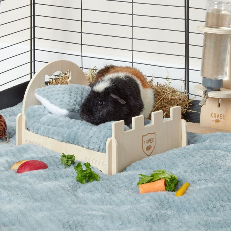 short haired guinea pig sitting on miniature wooden castle bed in C&C cage with blue fleece liner