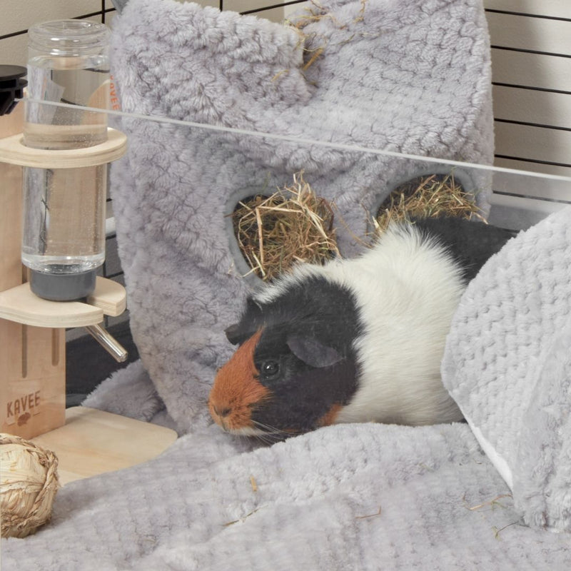 tri colored guinea pig in front of kavee c and c haybag on side of kavee cage