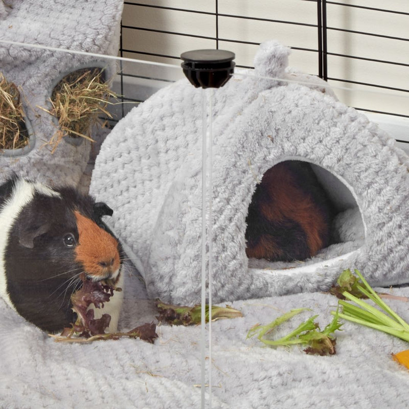 tri colored guinea pig inside of kavee hidey house gray
