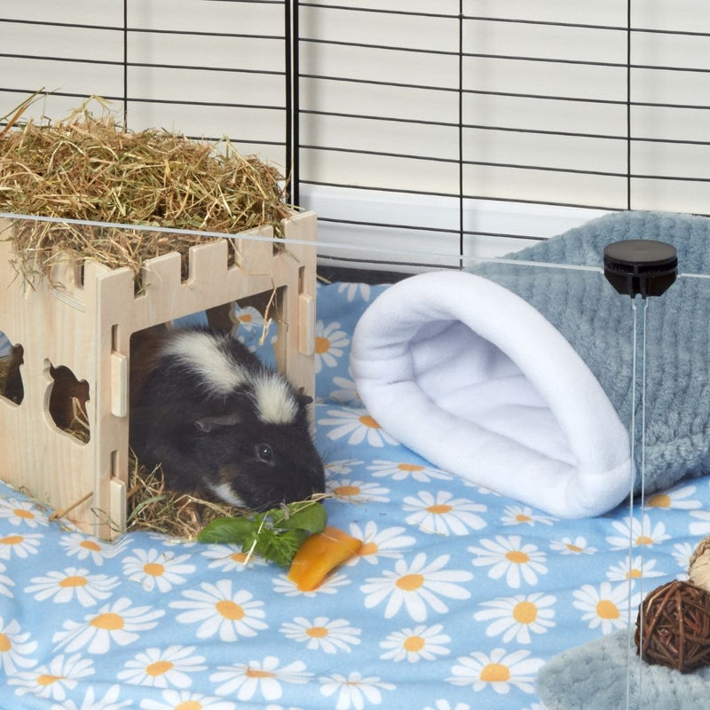 tri coloured guinea pig inside of kavee wooden tunnel eating hay with kavee blue accessories and transparent pannels