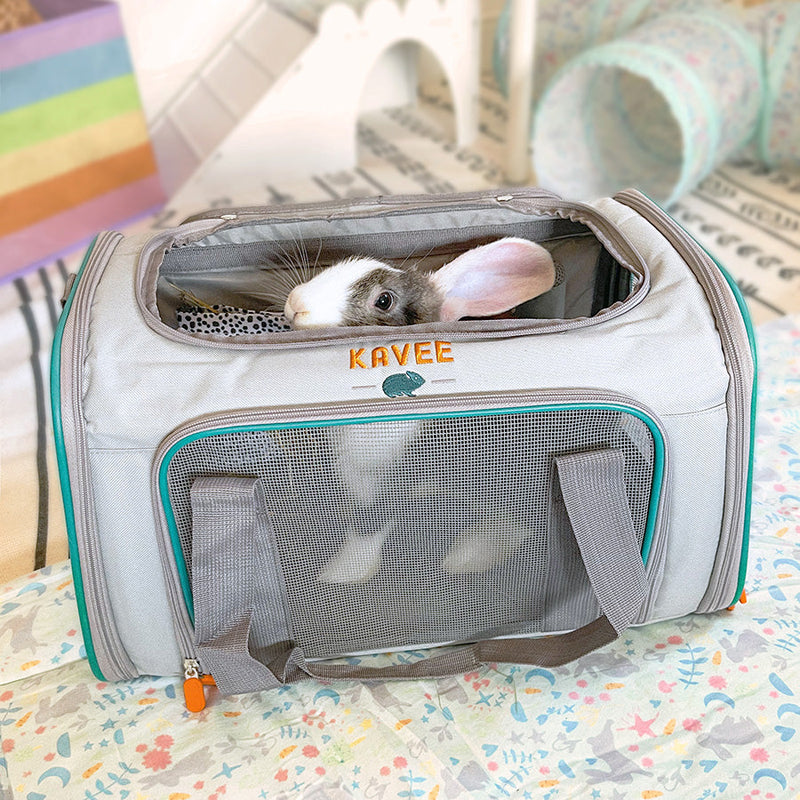 Grey and white rabbit inside Kavee's pet karrier for small animals, on fleece liner with accessories in background