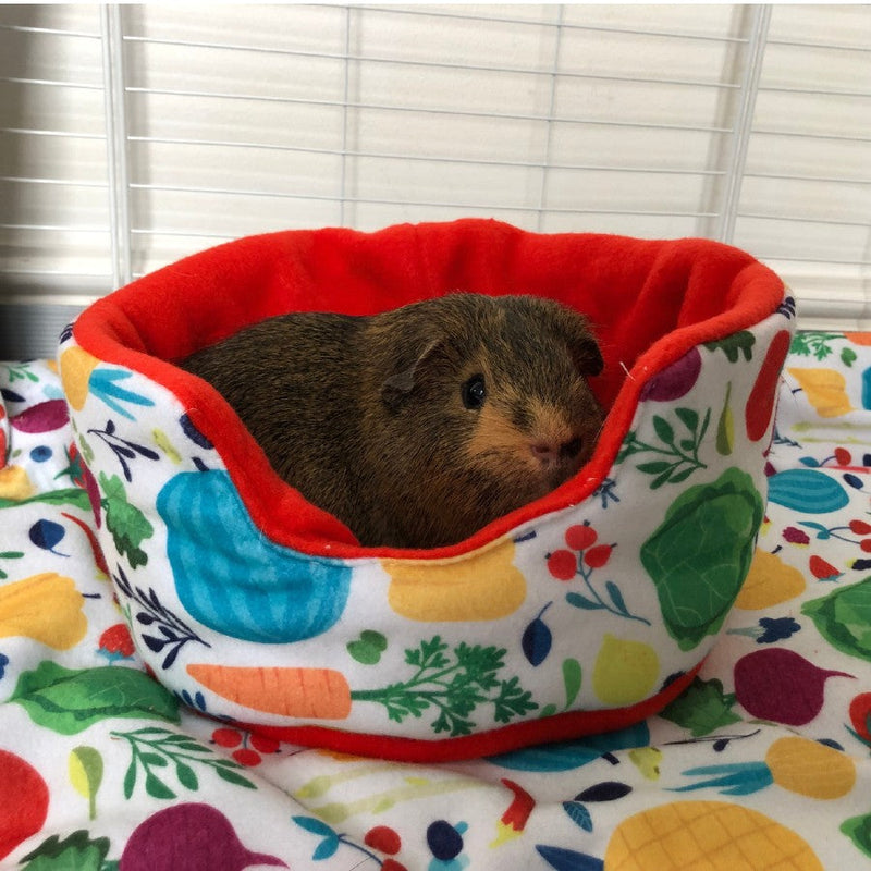 a brown guine pig inside of kavee red veggie cuddle cup on top of fleece liners