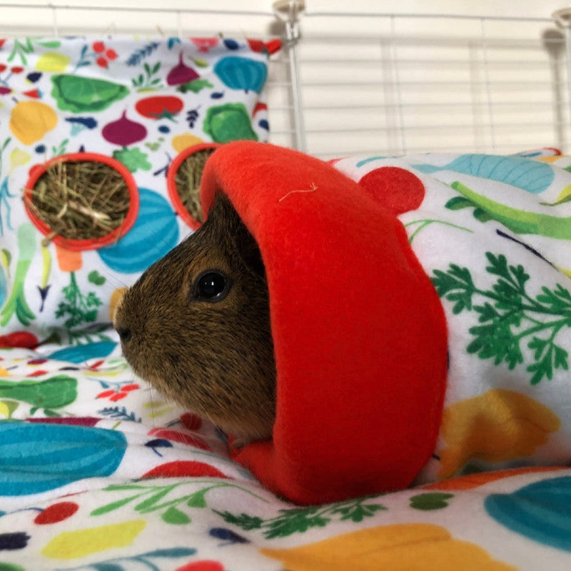 brown guinea pig halfway out of a kavee red veggie tunnel on top of fleece liner