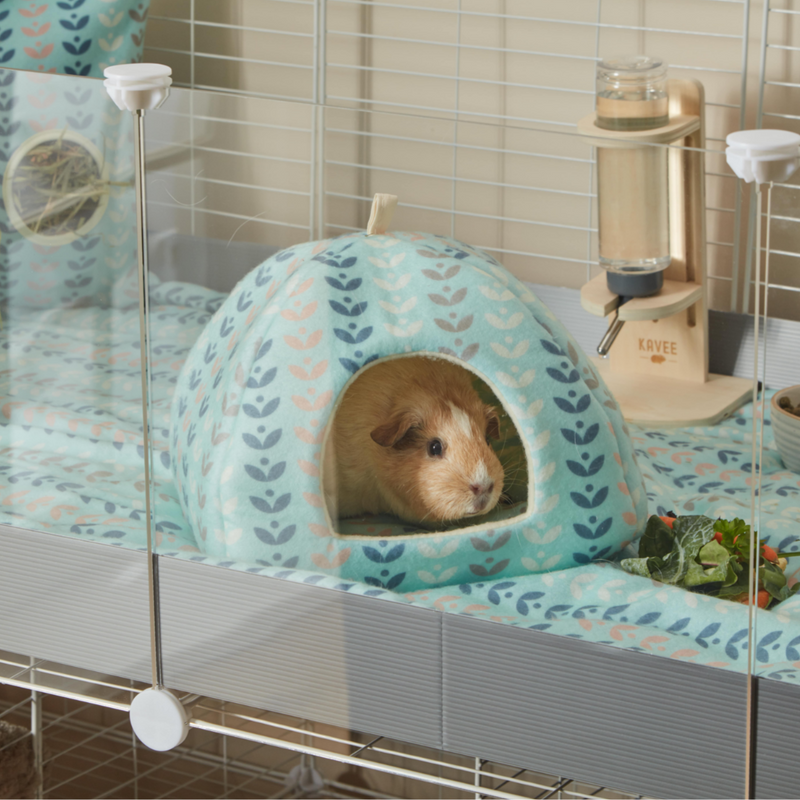 ginger and white guinea pig inside of kavee c and c scandi abstract cuddle cup on top of 