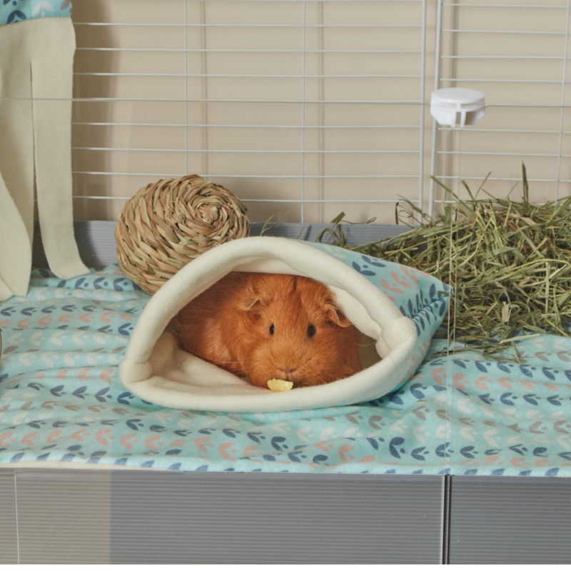 a ginger guinea pig inside of a kavee c and c scandi abstract sleep sack on top on a kavee fleece liner