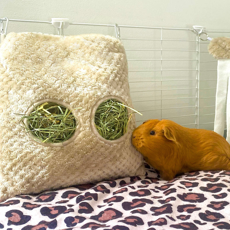 a ginger guinea pig eating out of a taupe hay bag on top of a kavee leopard print fleece liner