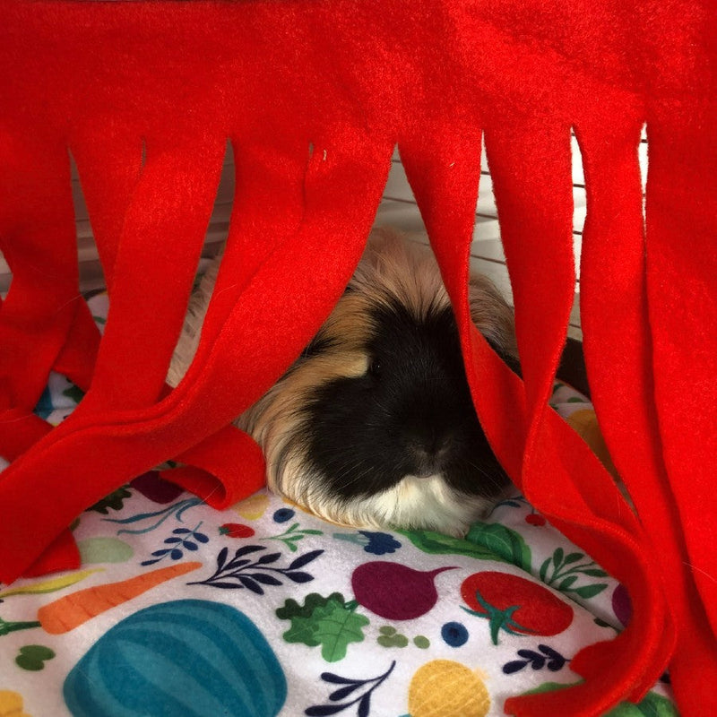 tri coloured guinea pig hiding behing kavee corner hide on top of red veggie fleece liner