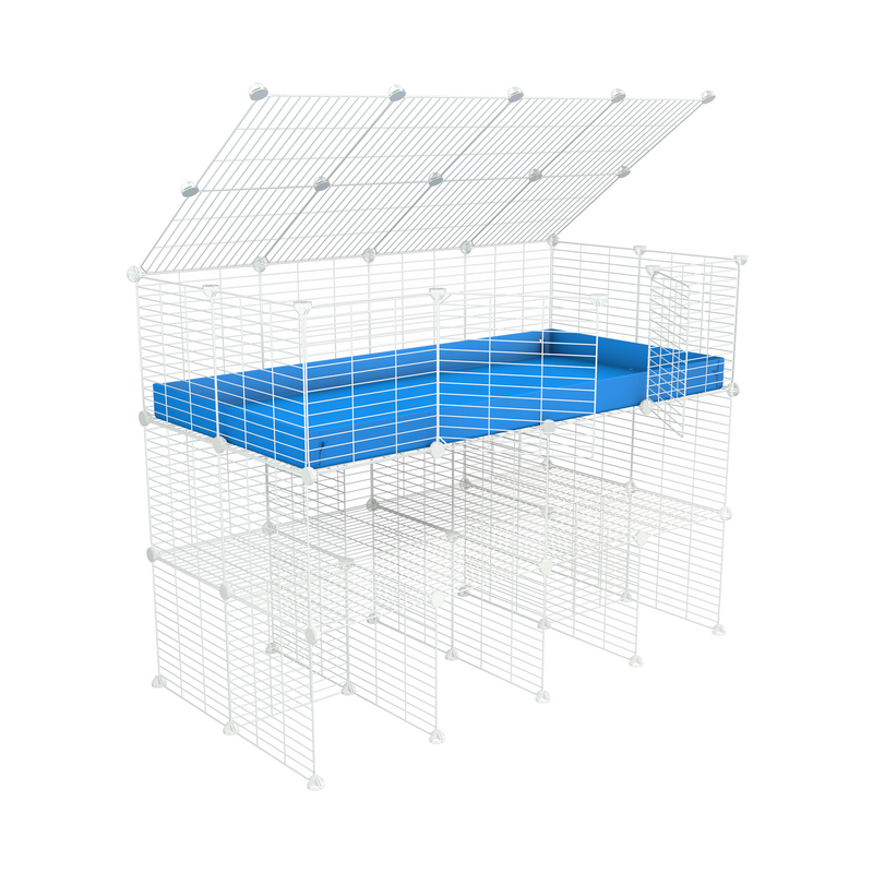 a tall 4x2 C&C guinea pigs cage with a double stand blue coroplast a lid and safe small hole white CC grids sold in USA by kavee