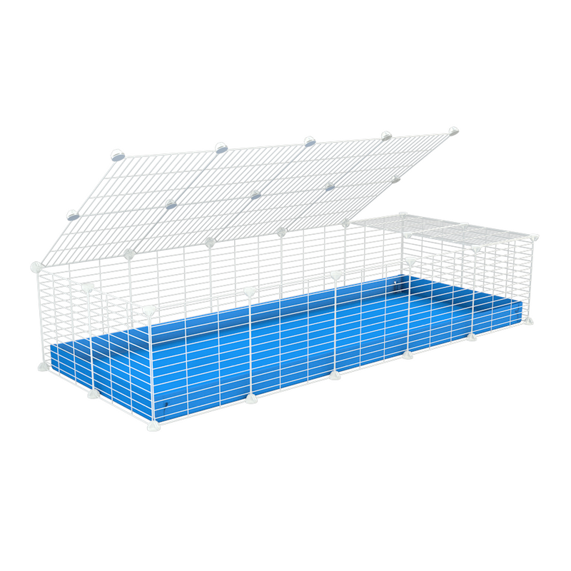 A 2x5 C and C cage for guinea pigs with blue coroplast a lid and small hole white C and C grids from brand kavee