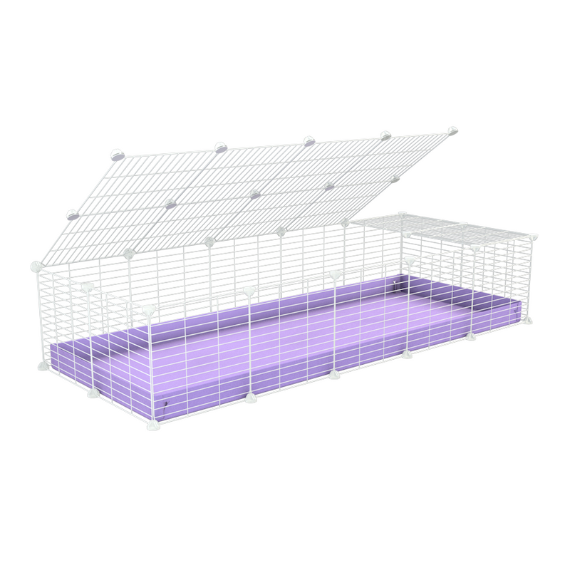 A 2x5 C and C cage for guinea pigs with purple lilac pastel coroplast a lid and small hole white grids from brand kavee