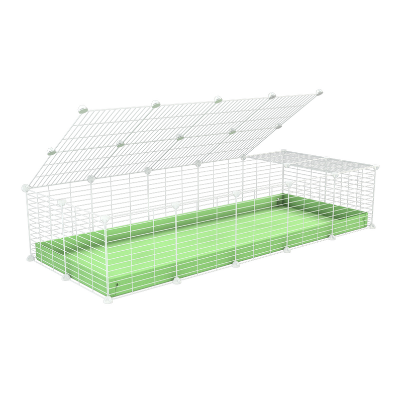 A 2x5 C and C cage for guinea pigs with green pastel pistachio coroplast a lid and small hole white grids from brand kavee