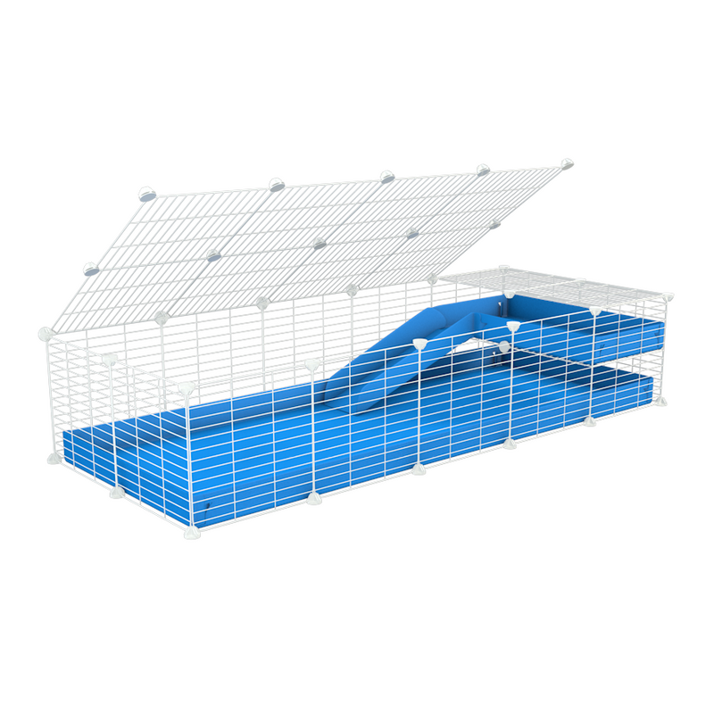 a 2x5 C and C guinea pig cage with loft ramp lid small hole size white CC grids blue coroplast kavee