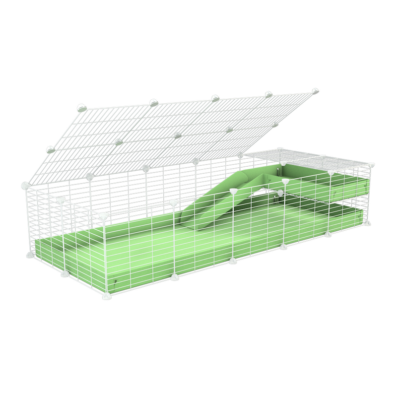 a 2x5 C and C guinea pig cage with loft ramp lid small hole size white grids green pastel pistachio coroplast kavee