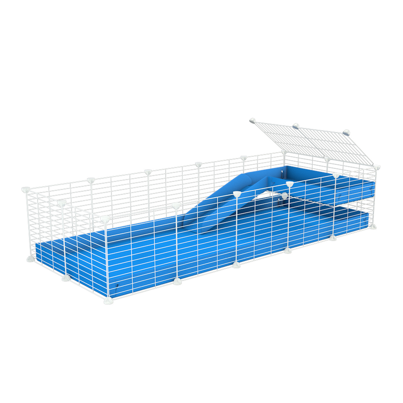 a 5x2 C&C guinea pig cage with a loft and a ramp blue coroplast sheet and baby bars white C and C grids by kavee