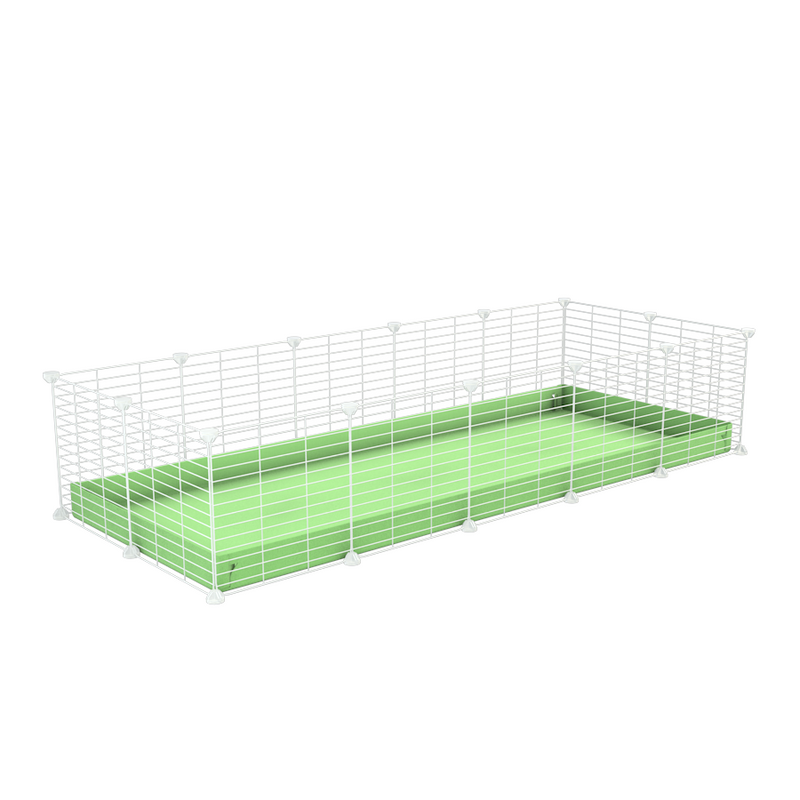 A cheap 5x2 C&C cage for guinea pig with green pastel pistachio coroplast and baby proof white grids from brand kavee