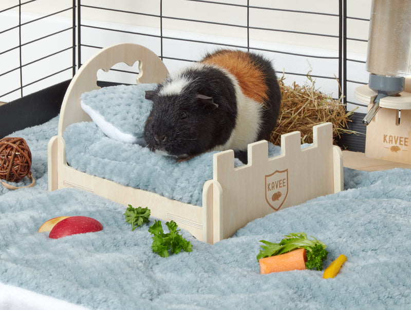 guinea pig resting next to blue fleece pillow on miniature wooden castle bed in c and c cage