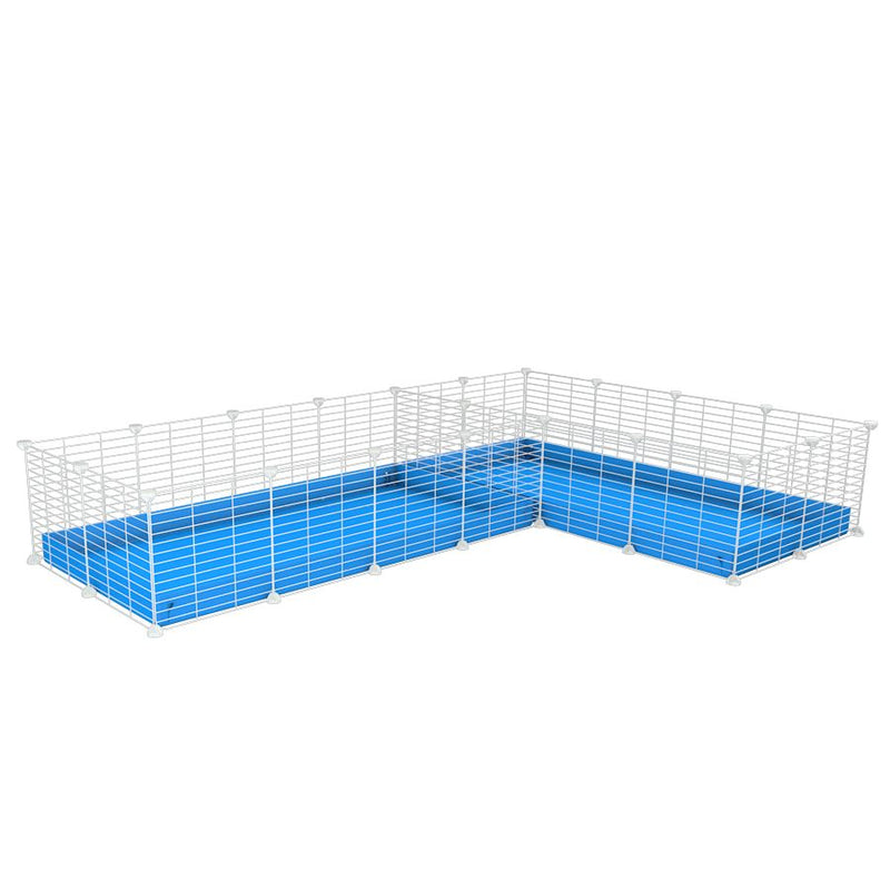 A 8x2 L-shape white C&C cage with divider for guinea pig fighting or quarantine with blue coroplast from brand kavee