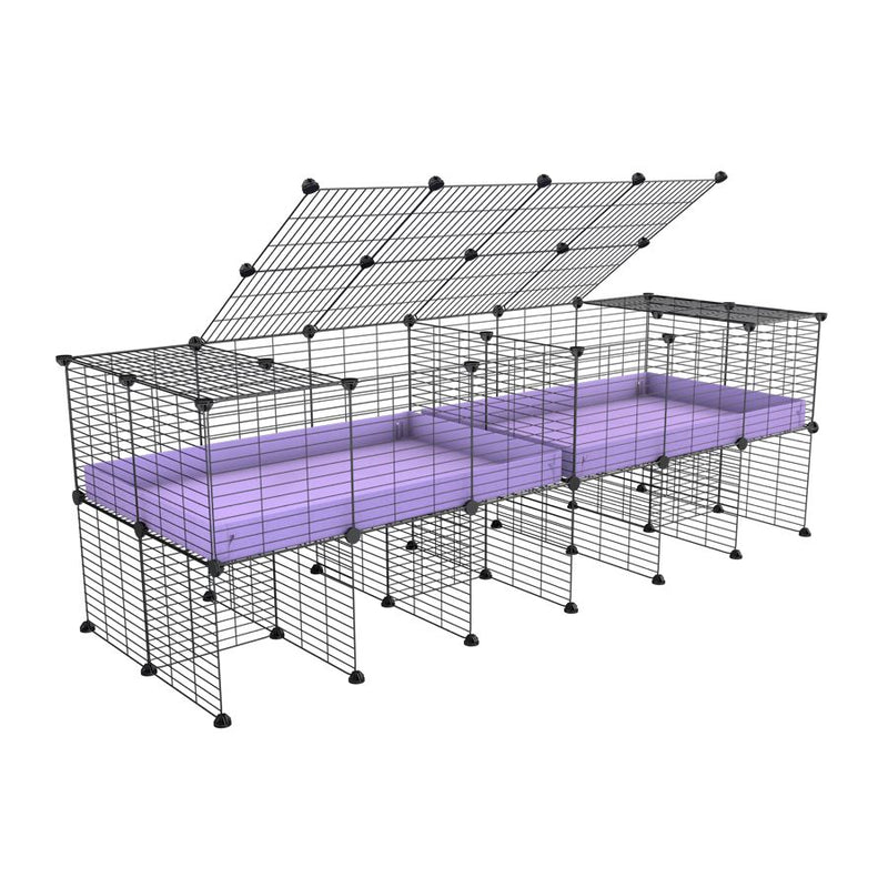 A 6x2 C&C cage with lid divider stand for guinea pig fighting or quarantine with lilac coroplast from brand kavee
