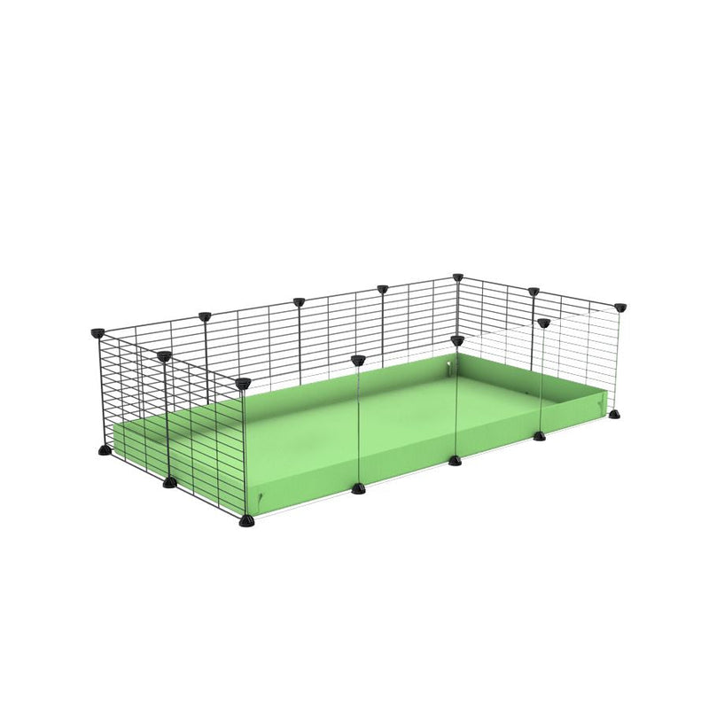 A cheap 4x2 C&C cage with clear transparent perspex acrylic windows  for guinea pig with green pastel pistachio coroplast and baby grids from brand kavee
