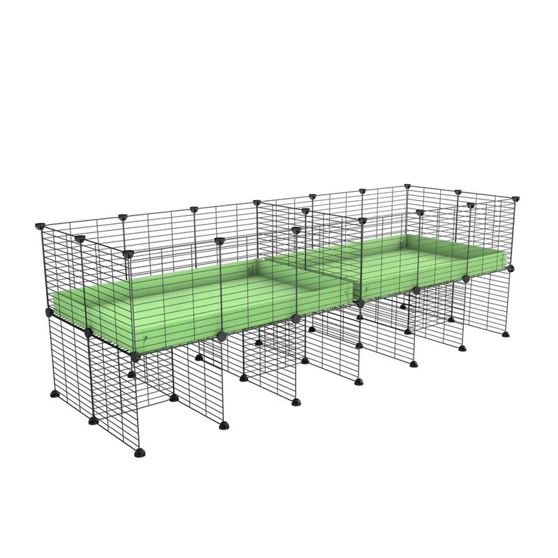 A 6x2 C&C cage with divider and stand for guinea pig fighting or quarantine with green coroplast from brand kavee