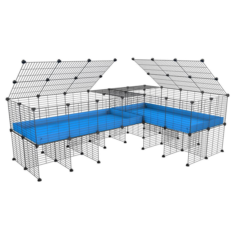 A 8x2 L-shape C&C cage with lid divider stand for guinea pig fighting or quarantine with blue coroplast from brand kavee