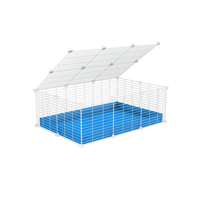 A 2x3 C and C cage for guinea pigs with blue coroplast a lid and small hole white C&C grids from brand kavee