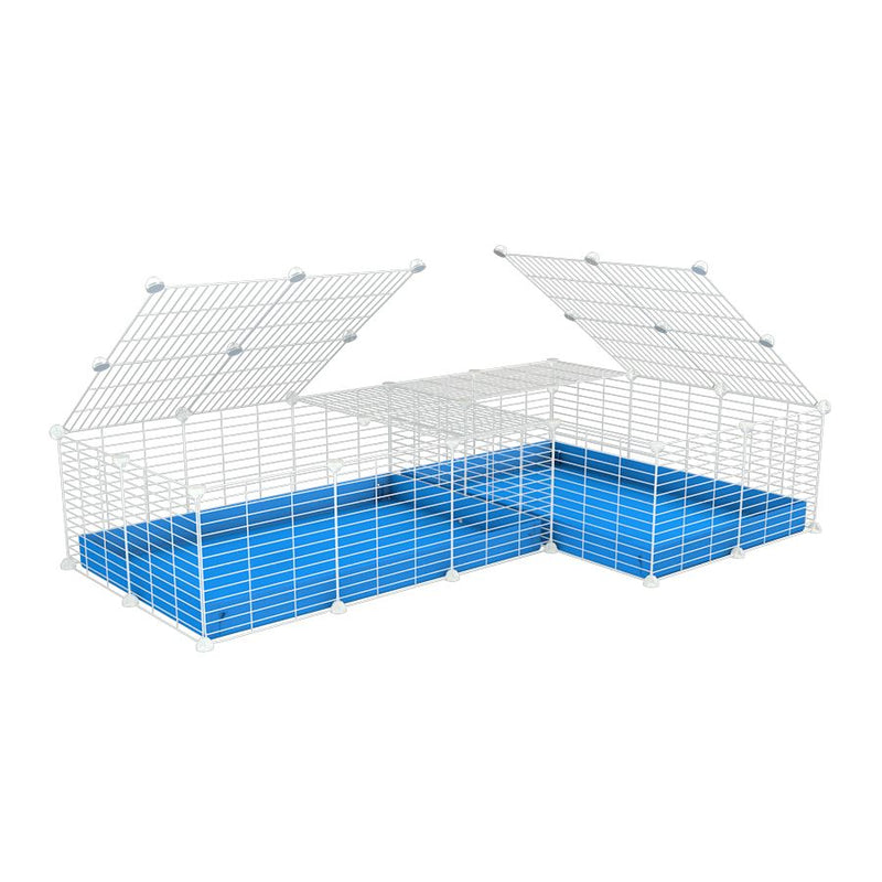 A 6x2 L-shape white C&C cage with lid divider for guinea pig fighting or quarantine with blue coroplast from brand kavee