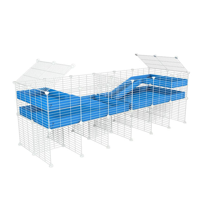 A 6x2 white C&C cage with divider and stand loft ramp for guinea pig fighting or quarantine with blue coroplast from brand kavee