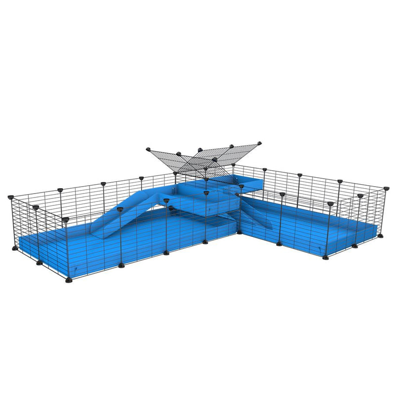 A 8x2 L-shape C&C cage with divider and loft ramp for guinea pig fighting or quarantine with blue coroplast from brand kavee