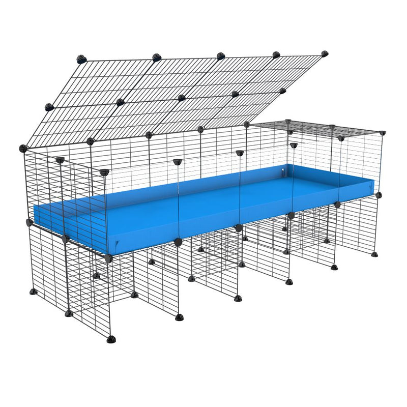 a 5x2 C&C cage with clear transparent perspex acrylic windows  for guinea pigs with a stand and a top blue plastic safe grids by kavee