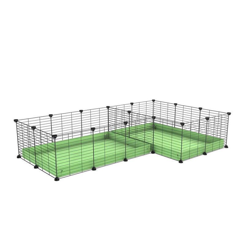 A 6x2 L-shape C&C cage with divider for guinea pig fighting or quarantine with green correx from brand kavee