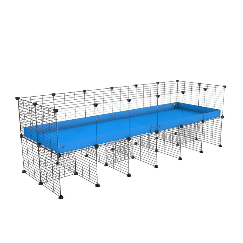a 6x2 CC cage with clear transparent plexiglass acrylic panels  for guinea pigs with a stand blue correx and grids sold in USA by kavee