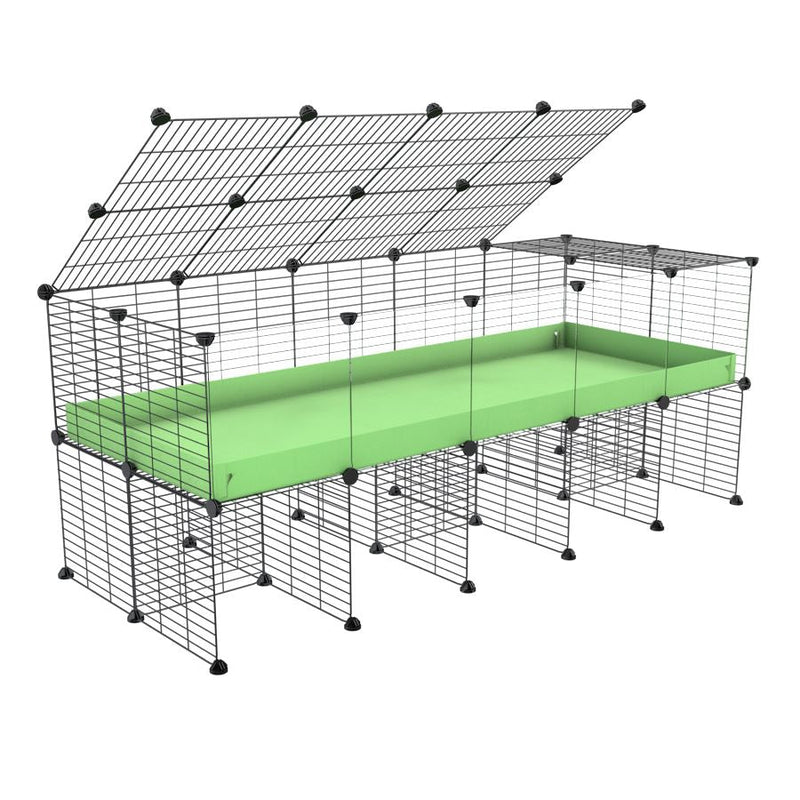 a 5x2 C&C cage with clear transparent perspex acrylic windows  for guinea pigs with a stand and a top green pastel pistachio plastic safe grids by kavee