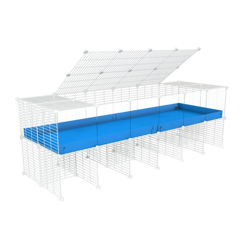 a 6x2 C&C cage with clear transparent perspex acrylic windows  for guinea pigs with a stand and a top blue plastic safe white CC grids by kavee