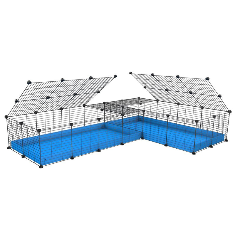 A 8x2 L-shape C&C cage with lid divider for guinea pig fighting or quarantine with blue coroplast from brand kavee