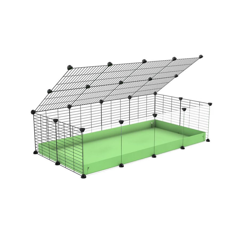 A 2x4 C and C cage with clear transparent plexiglass acrylic grids  for guinea pigs with green pastel pistachio coroplast a lid and small hole grids from brand kavee