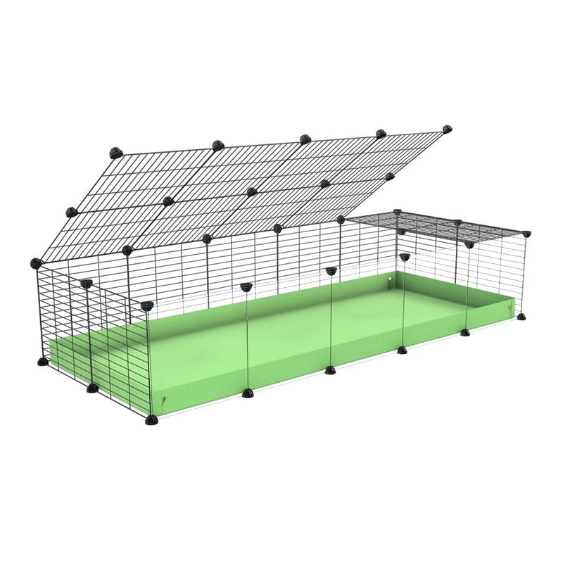 A 2x5 C and C cage with clear transparent plexiglass acrylic grids  for guinea pigs with green pastel pistachio coroplast a lid and small hole grids from brand kavee