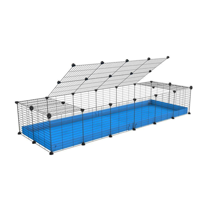 A 2x6 C and C cage for guinea pigs with blue coroplast a lid and small hole grids from brand kavee