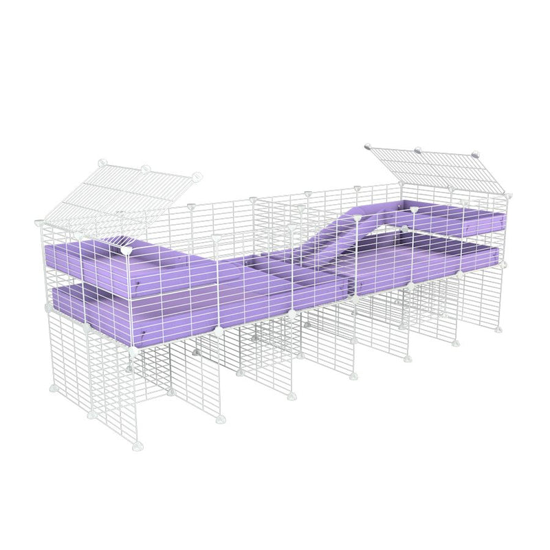 A 6x2 white C&C cage with divider and stand loft ramp for guinea pig fighting or quarantine with lilac coroplast from brand kavee