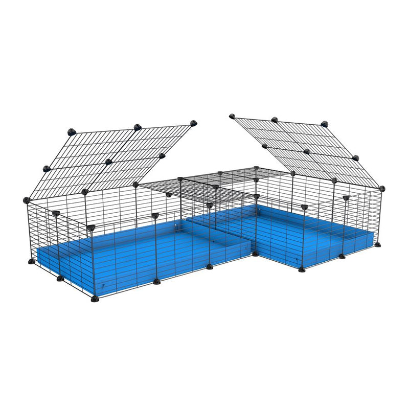 A 6x2 L-shape C&C cage with lid divider for guinea pig fighting or quarantine with blue coroplast from brand kavee