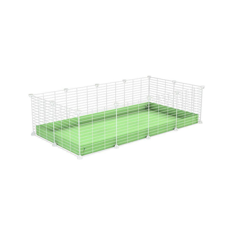 A cheap 4x2 C&C cage for guinea pig with green pastel pistachio coroplast and baby proof white C&C grids from brand kavee