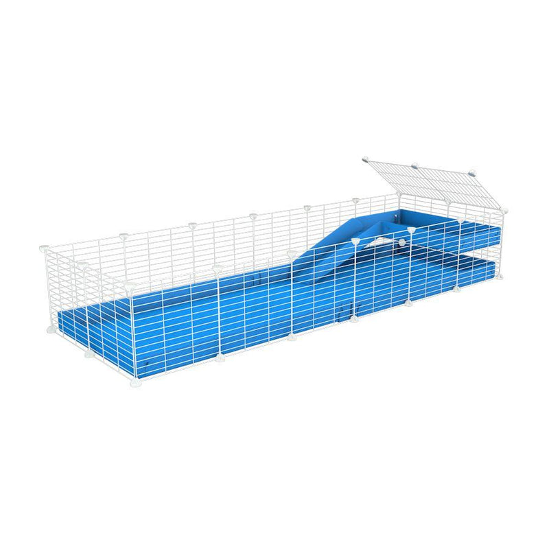a 6x2 C&C guinea pig cage with a loft and a ramp blue coroplast sheet and baby bars white grids by kavee