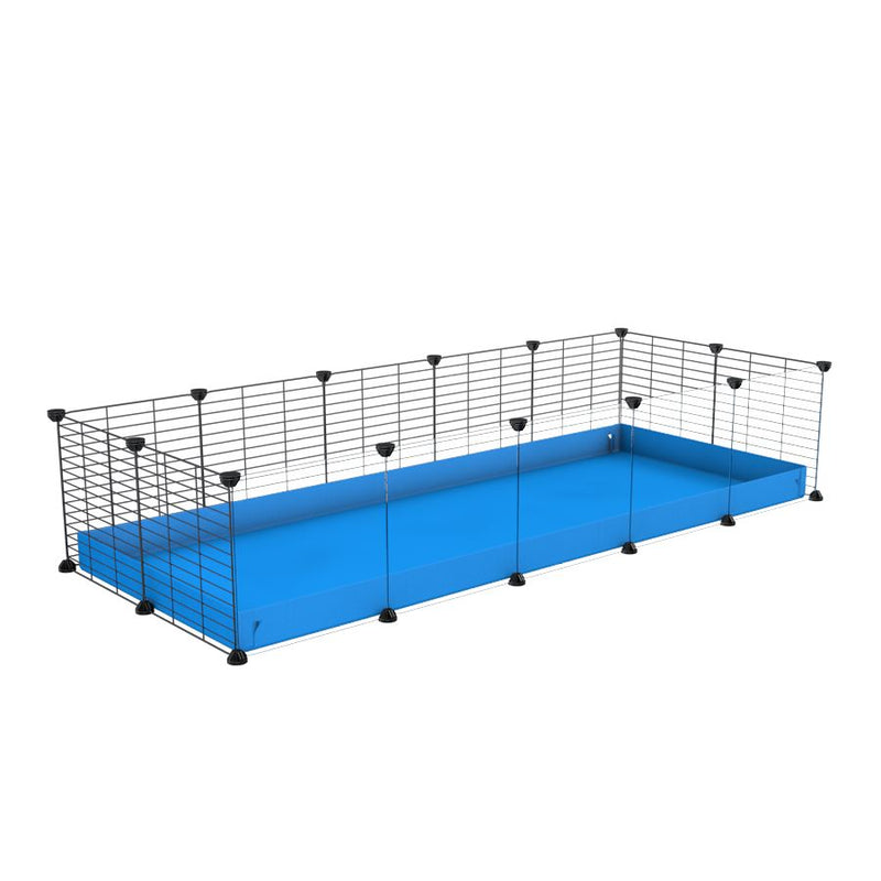 A cheap 5x2 C&C cage with clear transparent perspex acrylic windows  for guinea pig with blue coroplast and baby grids from brand kavee