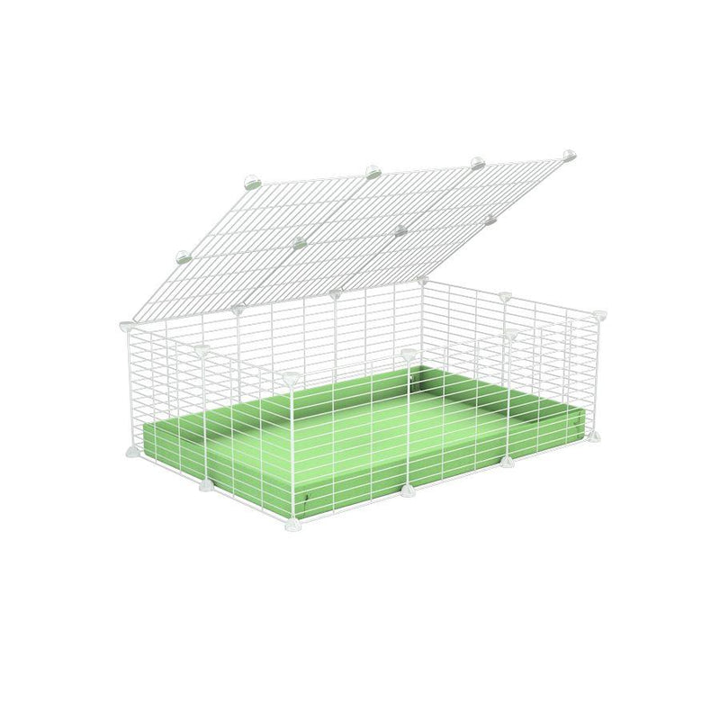 A 2x3 C and C cage for guinea pigs with green pastel pistachio coroplast a lid and small hole white grids from brand kavee