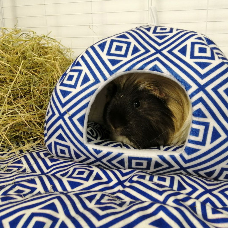 a guinea pig using a fleece hidey hideaway made of blue  geometric navy fleece by kavee