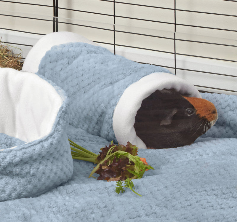 black and brown guinea pig laying in blue fleece tunnel on blue fleece liner bedding in cc cage