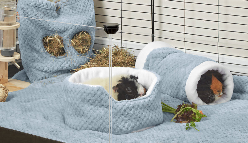 guinea pig sitting in kavee blue cuddle cup on blue fleece liner in a c and c cage