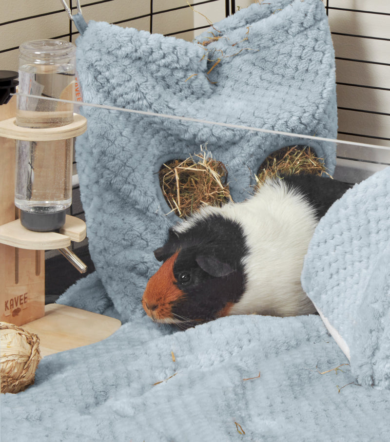 guinea pig sitting next to blue fleece hay bag attached to black C&C cage