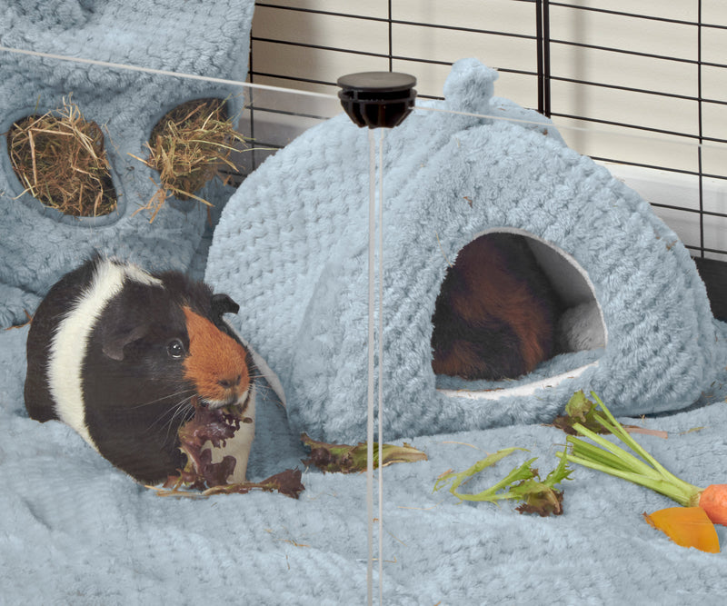 guinea pig sleeping in kavee blue fleece house on blue fleece liner bedding